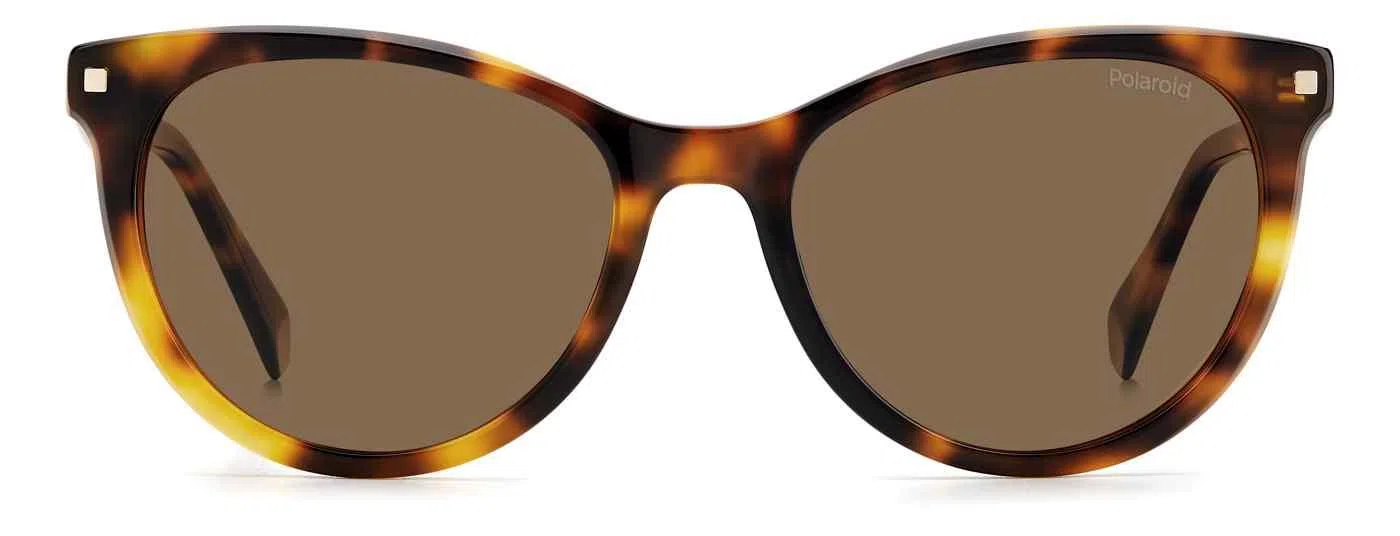 Polaroid Core Polaroid4111 Sunglasses - view 9